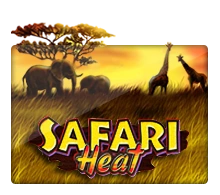 Safari Heat - POCKETSLOT777