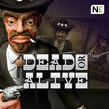 Dead or Alive - POCKETSLOT777