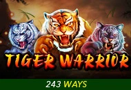 Tiger Warrior - POCKETSLOT777