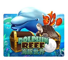 Dolphin Reef - POCKETSLOT777