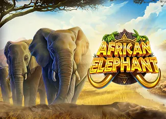 African Elephant - POCKETSLOT777